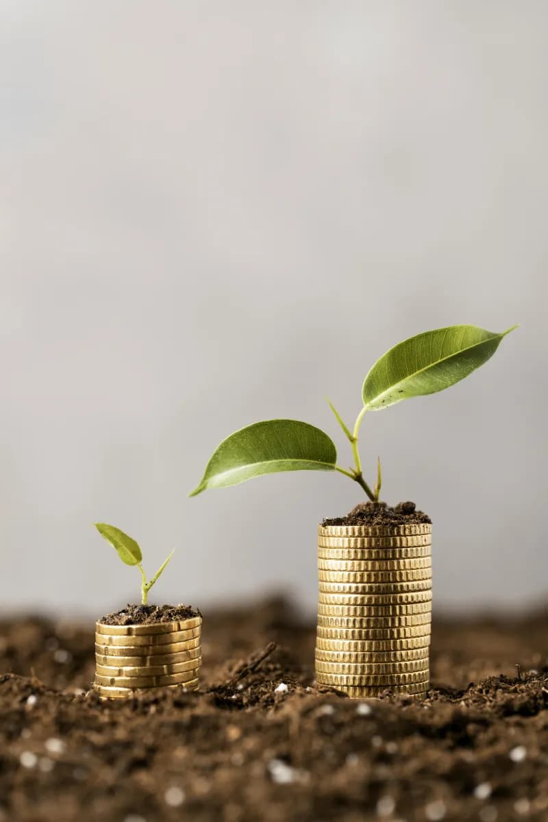 Growing plants beside stacks of coins